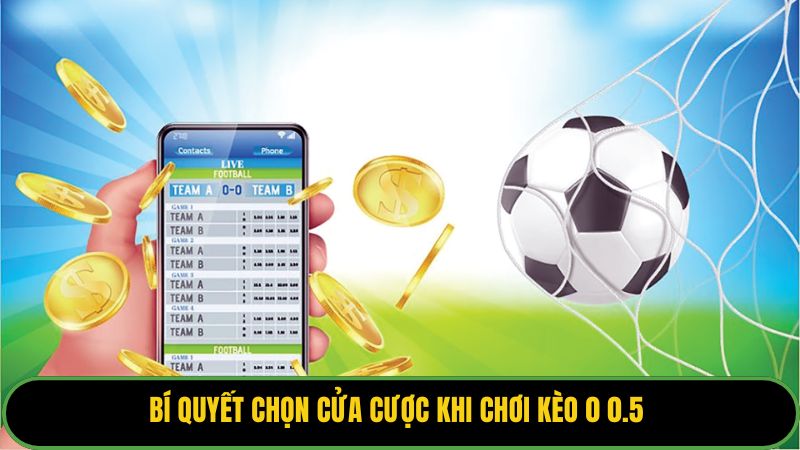 Bí quyết chọn cửa cược khi chơi kèo 0 0.5