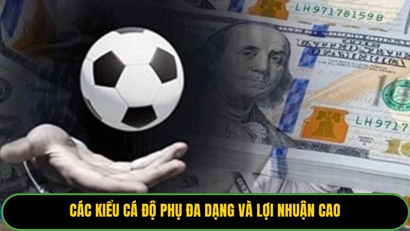 Các kiểu cá độ phụ đa dạng và lợi nhuận cao.