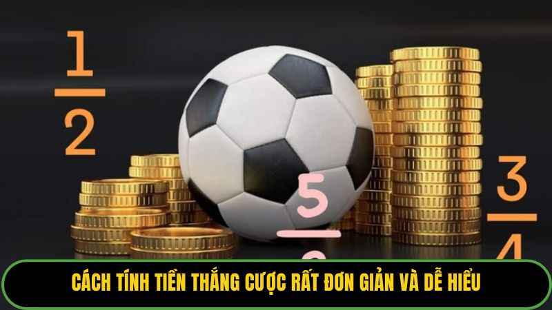Cách tính tiền thắng cược rất đơn giản và dễ hiểu.