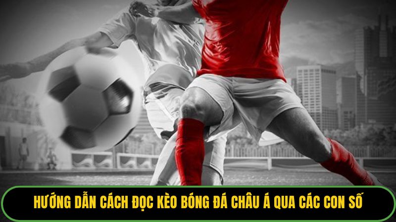 Hướng dẫn cách đọc kèo bóng đá châu á qua các con số.