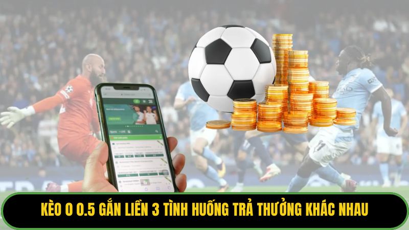 Kèo 0 0.5 gắn liền 3 tình huống trả thưởng khác nhau