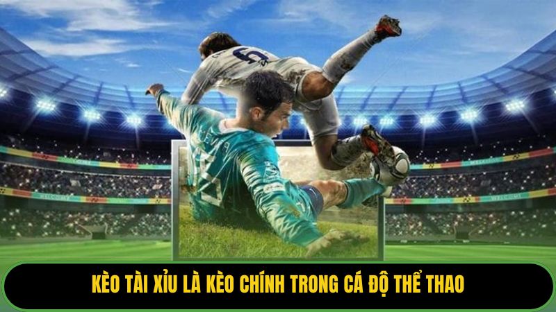 Kèo tài xỉu là kèo chính trong cá độ thể thao