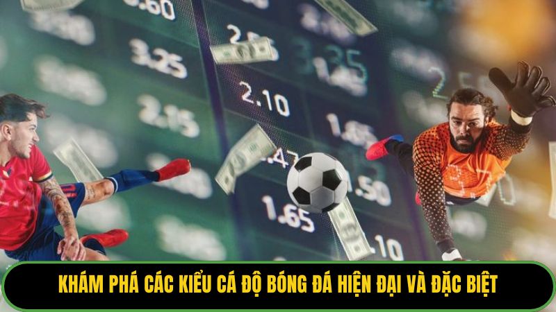 Khám phá các kiểu cá độ bóng đá hiện đại và đặc biệt.