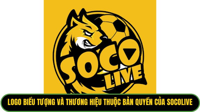 Logo biểu tượng và thương hiệu thuộc bản quyền của Socolive