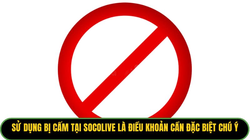 Sử dụng bị cấm tại Socolive là điều khoản cần đặc biệt chú ý