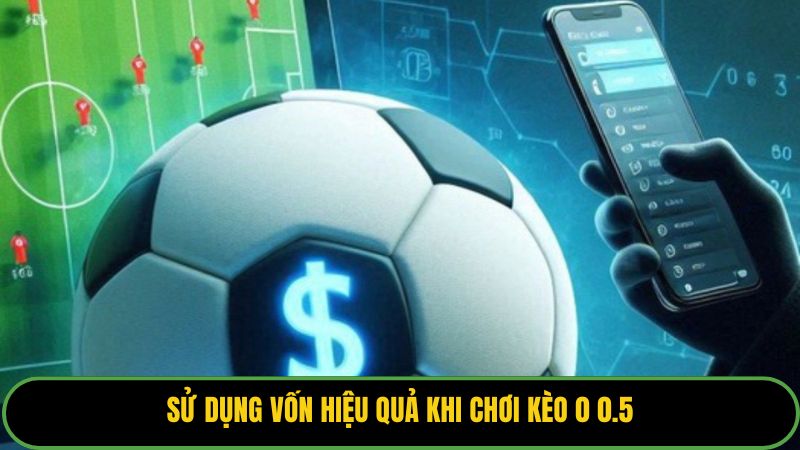Sử dụng vốn hiệu quả khi chơi kèo 0 0.5