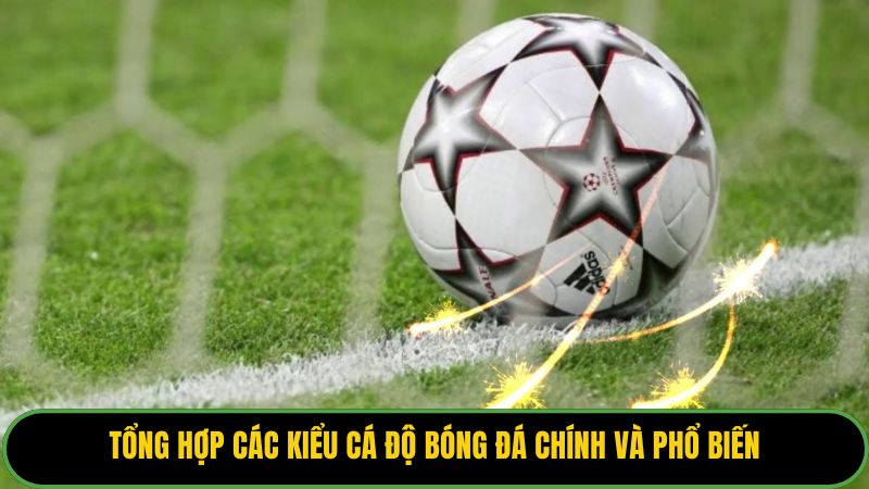 Tổng hợp các kiểu cá độ bóng đá chính và phổ biến.
