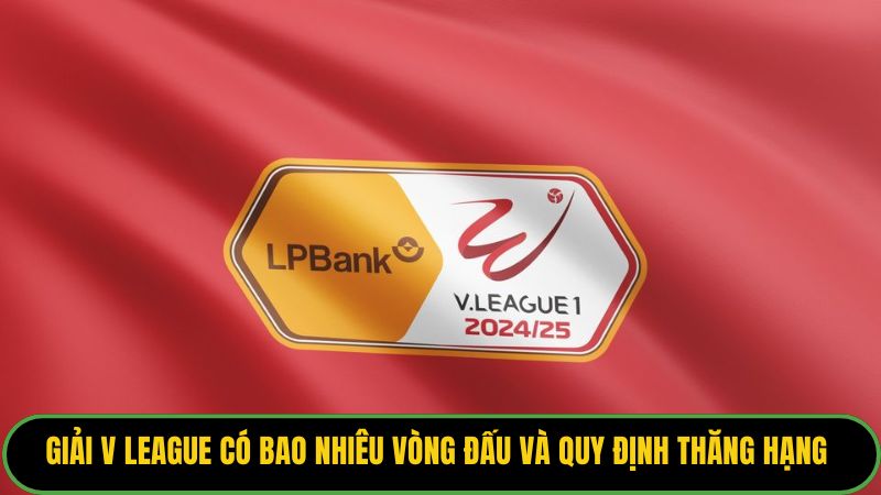 V League Có Bao Nhiêu Vòng Đấu