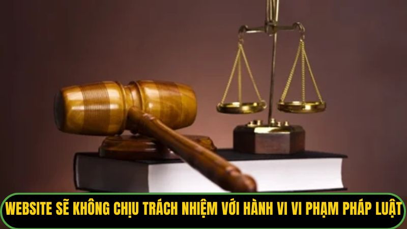 Website sẽ không chịu trách nhiệm đối với các hành vi vi phạm pháp luật